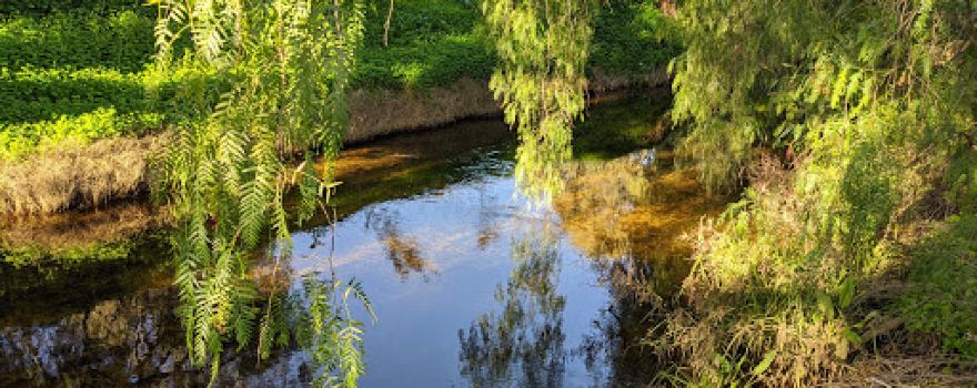 Huntly Streamside Reserve