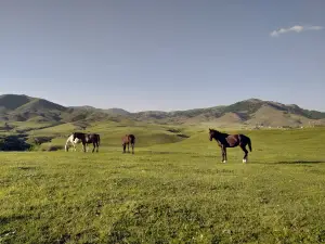 Dostlar bulağı