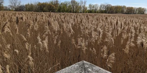 Petite Côte Conservation Area