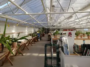 Trädgården Alfta