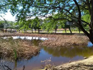 Parque Da Cidade