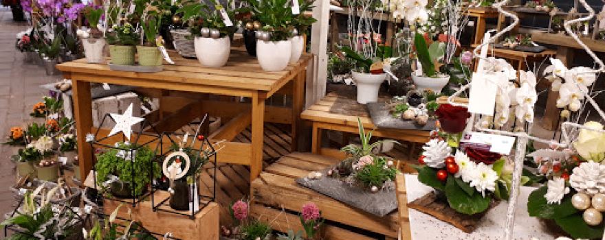 Espace Plantes