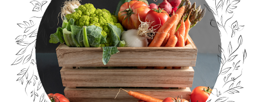 Wisewater Organic Farm Ltd.