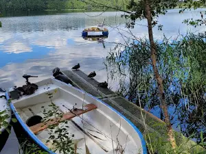 Naturcampingplatz on Springsee