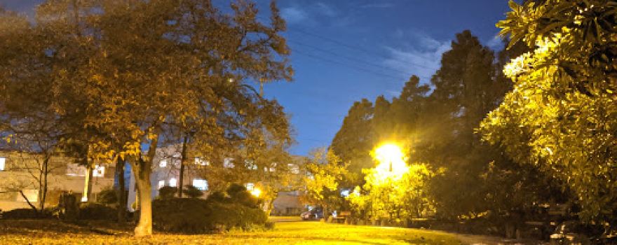 Moody Park