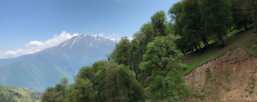 Nesum Forest Tourism Zone