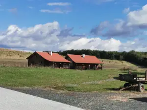 Der Krumphof - Bogenschießen & Reiten