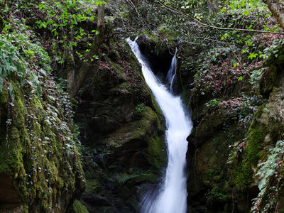 Leshnishki Waterfall