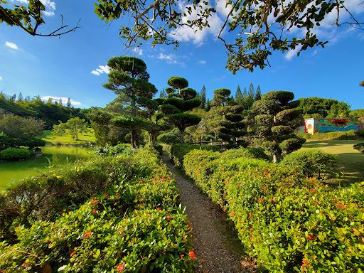 Japanese Garden