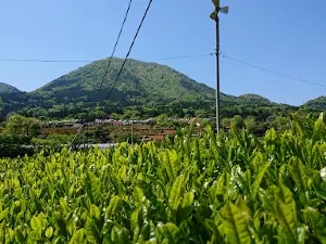 Shusuien