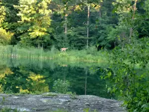 Leisure Lake Campground