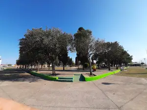Square Oct. 12