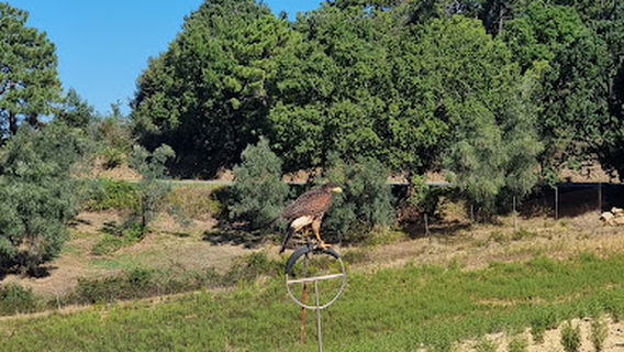 Castelfalfi Adventure Park