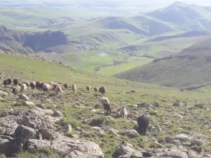Küpkıran