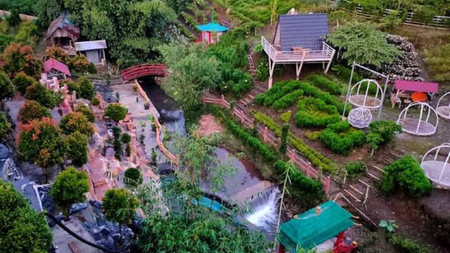 Taman Bunga D' Syandana 88