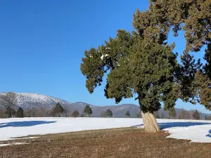Anasultan Türbesi