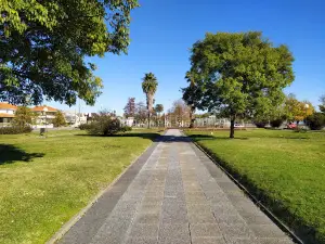 Rosedal
