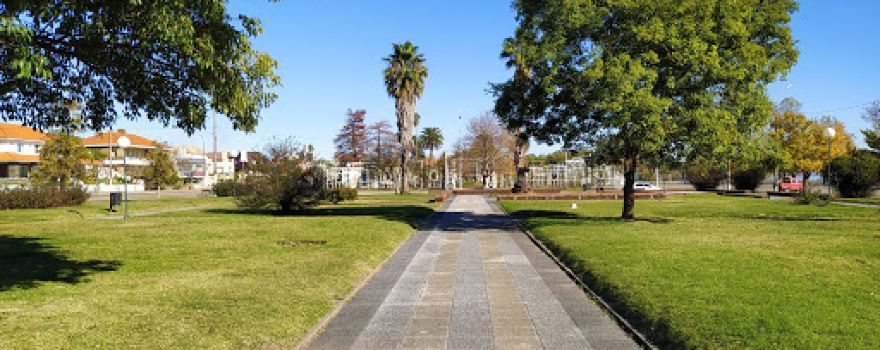 Rosedal