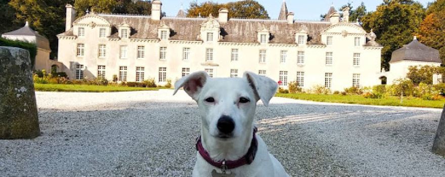 Château de la Ville Der