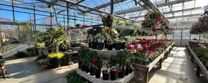 Running Brook Farms