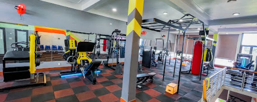X-GYM. Trung Thể Dục Thể Thao