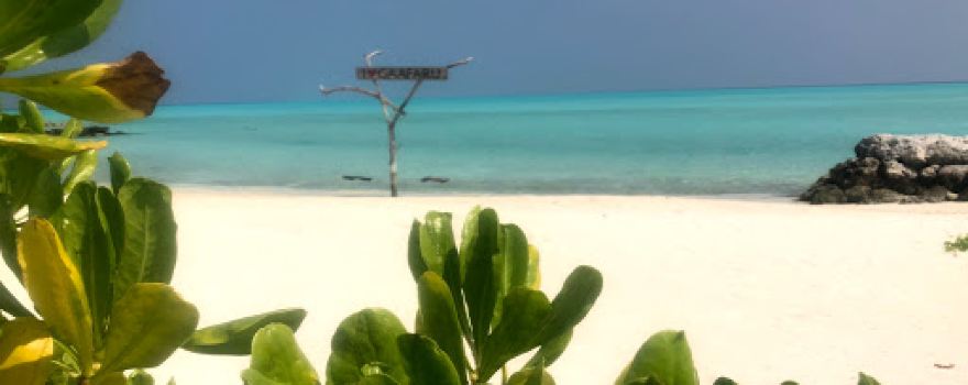 Tourist Beach