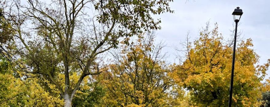 Greenbelt Trail
