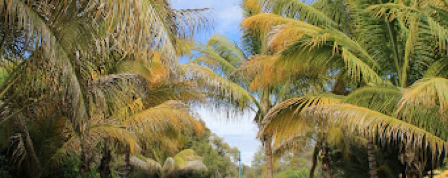Balneario de Huehuetlan