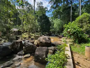 Recreational Forest Sungai Bantang