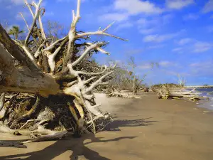 Hunting Island Campground
