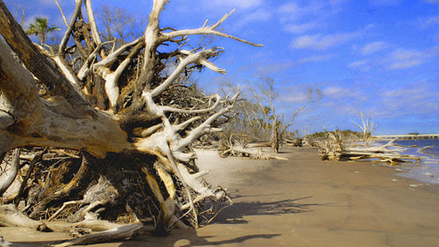 Hunting Island Campground