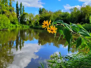 Minto Park