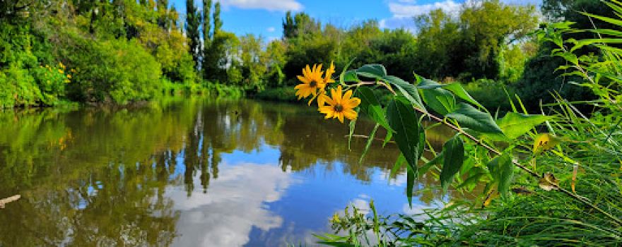 Minto Park