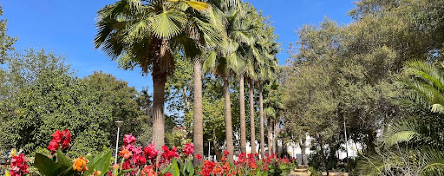 Municipal Ntra. Sra. de La Fuensanta Park