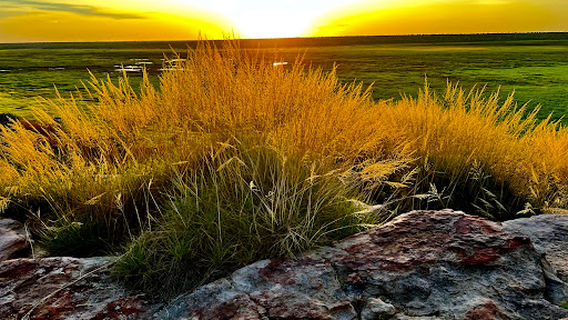 Kakadu