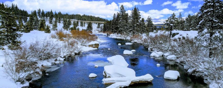 Truckee River Regional Park