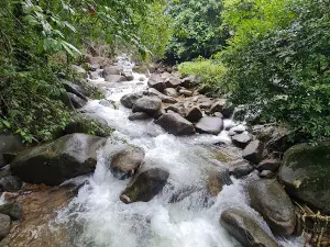 Khao Sa Bap National Park