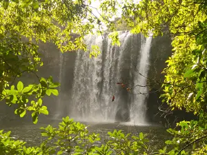 Rainbow Falls (Waianiwaniwa)