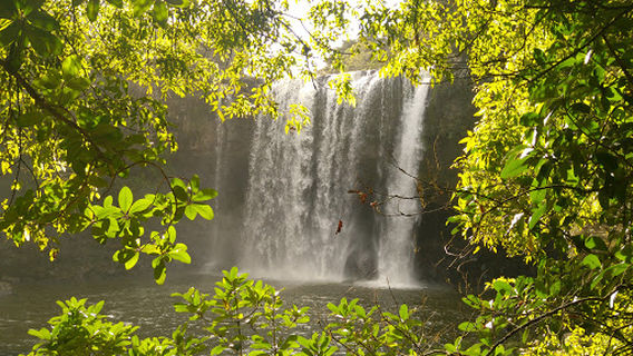 Rainbow Falls (Waianiwaniwa)