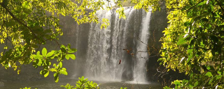 Rainbow Falls (Waianiwaniwa)
