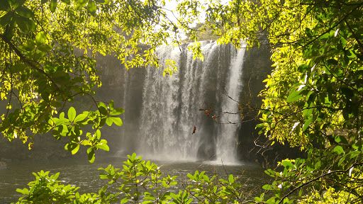 Rainbow Falls (Waianiwaniwa)