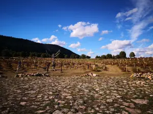 Cementerio película El Bueno, el Feo y el Malo.