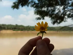 Indragiri River