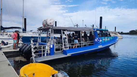 Dive Spear and Sport 1770