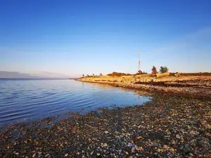 Undva pank