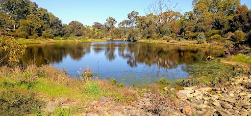 Pioneer Park