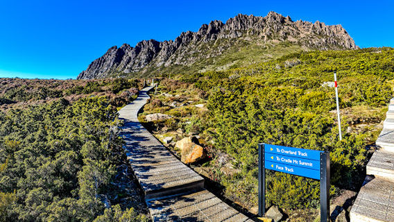 Cradle Mountain Summit