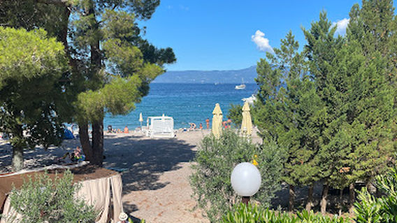 Red Heart of the Ocean