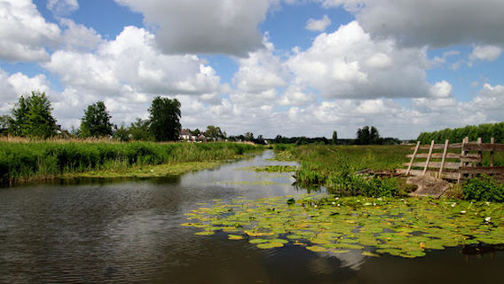 Reeuwijkse plassen