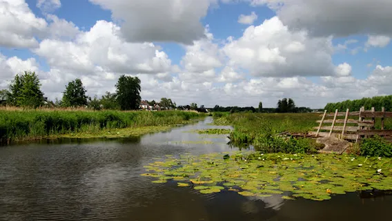 Reeuwijkse plassen